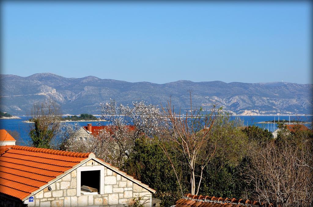 Apartments Sunny House Lumbarda Pokoj fotografie